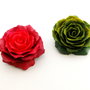 Red/Green