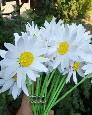 Decoratiuni margarete