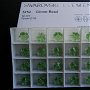 Margele clover (trifoi) Swarovski 12 mm - 5752-12-214