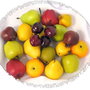 6302 -  Fructe artificiale