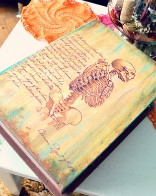 Bones - Cutie sub forma de carte