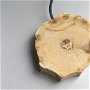Pandantiv lemn pietrificat - PLP 1
