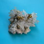 Mineral - cuart cu pirita