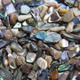 Scoica ABALONE - minichipsuri slefuite 1...6 mm - lot 5 gr.