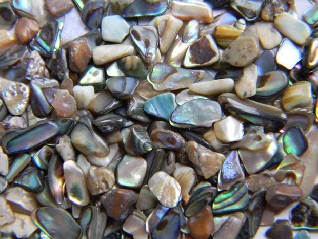 Scoica ABALONE - minichipsuri slefuite 1...6 mm - lot 5 gr.