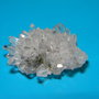 Specimen de cuart