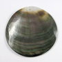 6424 - Pandantiv, scoica / shell, gri sidefat