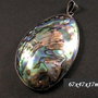 6422 - Pandantiv, scoica paua / pawa abalone, rama argintie