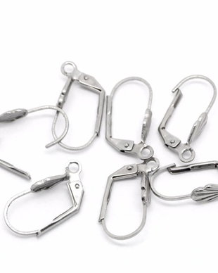 Tortite inox lever back