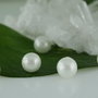 Perle seashell semigaurite,10mm (1)
