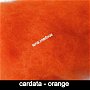 cardata -orange-25g