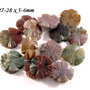 4626 - (2buc) Pandantiv / charms / margele, agata indiana, floare sculptata