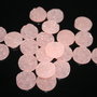 Cabochon rasina