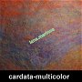 cardata - multicolor-25g