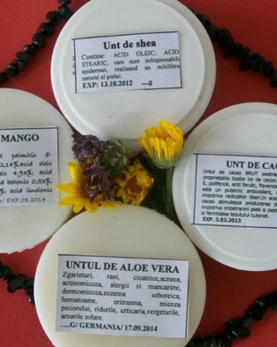 " Y MUST HAVE  " - SET DE 4 UNTURI  VEGETALE