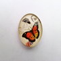 LMCB03 - cabochon oval