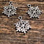 1b charm argintiu fulg de nea 22x17mm (SALAK 148)