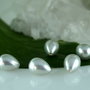 Perle seashell, semigaurite 8x11 mm (1)