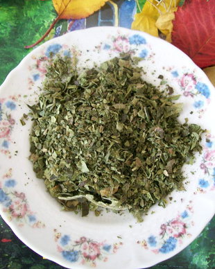 GINKO BILOBA CEAI / SILUR- CEAI