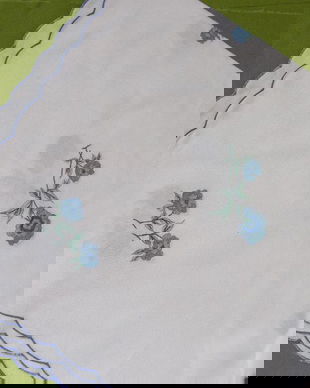 Fata de masa brodata cu flori albastre