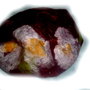Bascuta impaslita