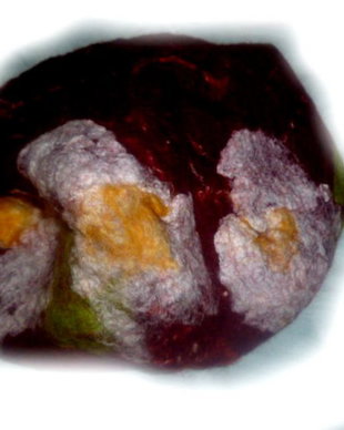 Bascuta impaslita
