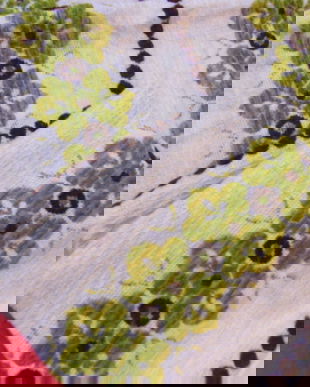 2 Cupoane tesatura rustica