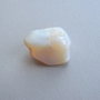 Opal Australia (OPA 1-12)