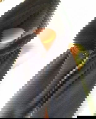 Căciulă fular 2 fete