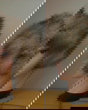 CACIULA CHIC BLANA NATURALA VULPE