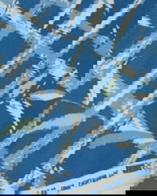 Cupon tesatura imprimata manual