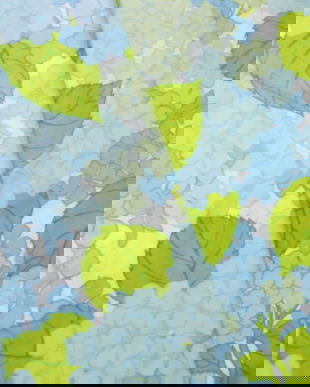 Cupoane bumbac satinat