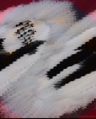 Covoras de blana lama si alpaca(decor)