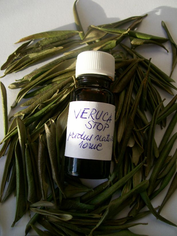 veruca tratament natural