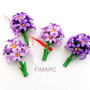 Hyacinthus orientalis(zambile) - brose