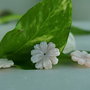 Sidef 16mm (1)