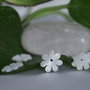 Sidef 10x2mm (1)