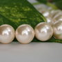 Perle seashell 14mm, cod ID41 (1)