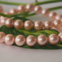 Perle seashell  8mm (1)