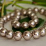Perle seashell 10mm, cod ID12 (1)