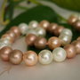 Perle seashell 10mm (1)