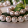 Perle seashell 12mm, cod ID30 (1)