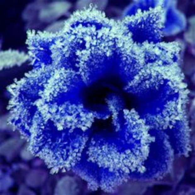 Fusta tricotata manual albastru cu aplicatii flori crosetate manual midi FROZEN FLOWERS