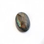 Cabochon Labradorit Oval flashy  ocru auriu si verde + violet din lateral - OVL000