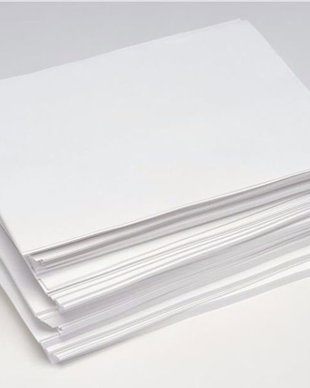 25 coli carton 250 g format A4