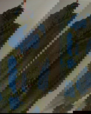 SAL IRIS LANITA FINA