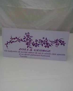 Plicuri de bani / Plic
