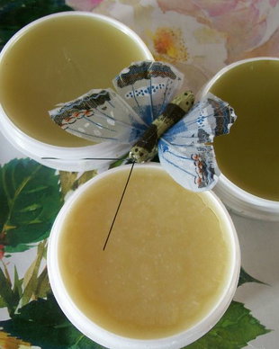 ALIFIE CU TATANEASA, ROSTOPASCA SI ARNICA