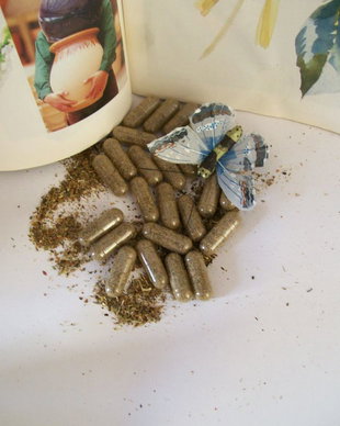CAPSULE : CIRCULATIE CEREBRALA si MEMORIE
