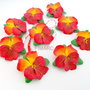 Pansy -  martisoare brose